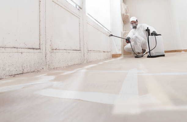 24/7 Emergency Bathroom Mold Removal experts in Hopewell, VA