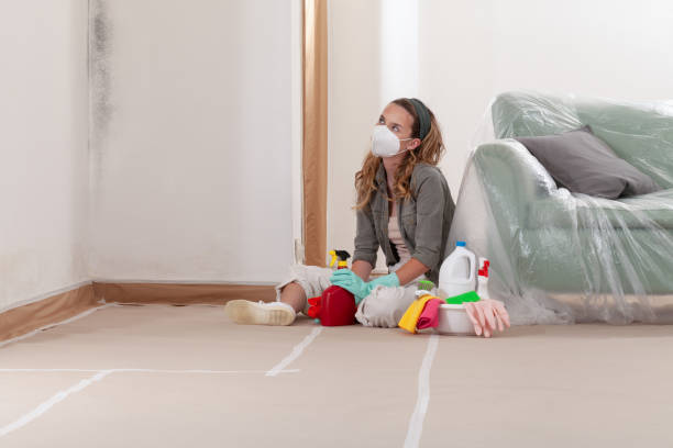 Reliable Mold Remediation contractor in Hopewell, VA by Cheap Mold Removal